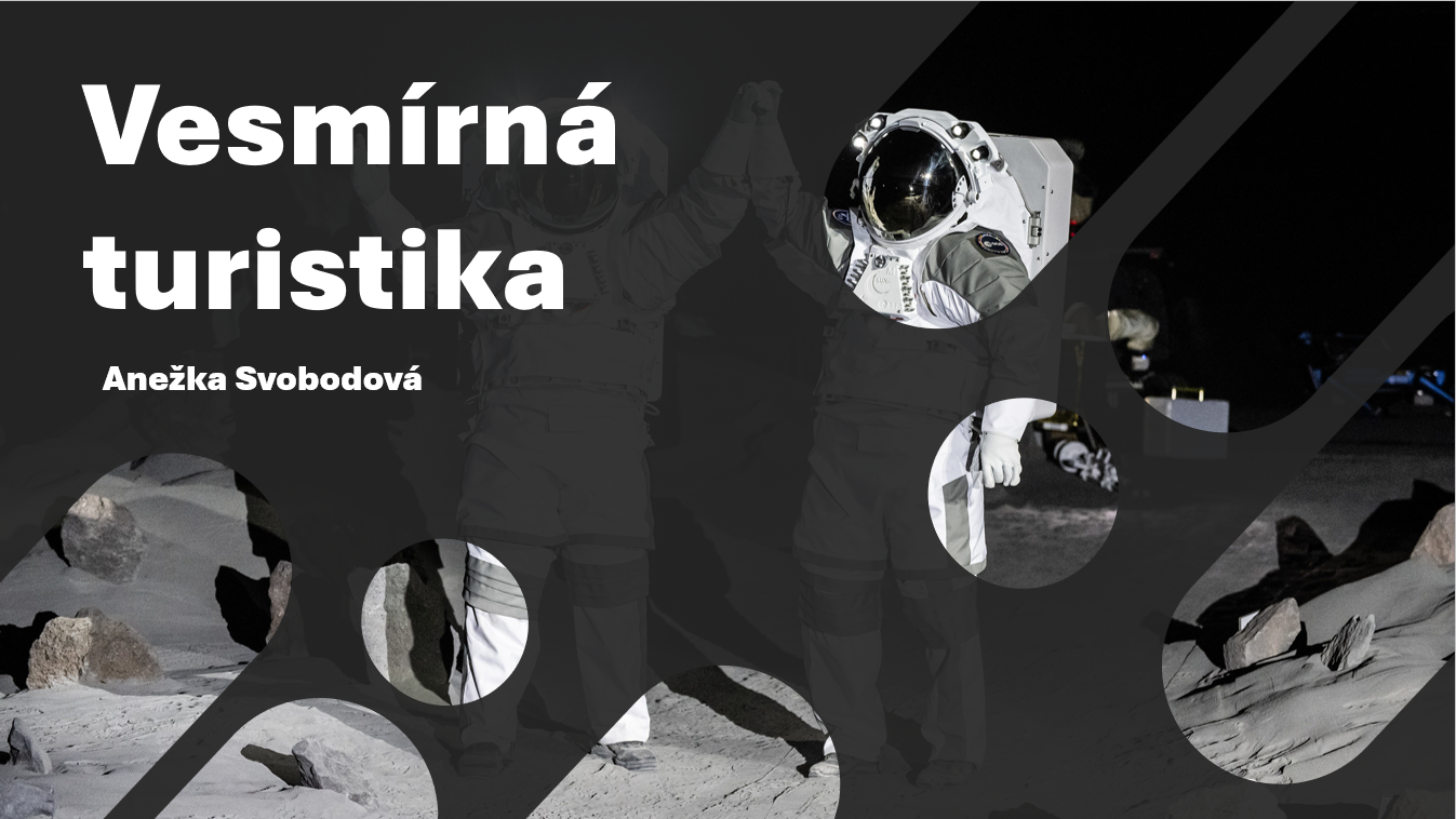 svobodova_anezka_42.png